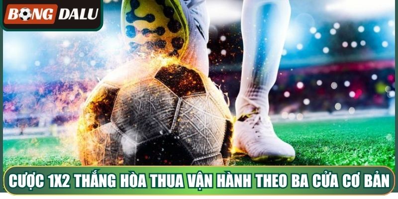 Cược 1x2 thắng hòa thua vận hành theo ba cửa cơ bảnCược 1x2 thắng hòa thua vận hành theo ba cửa cơ bản